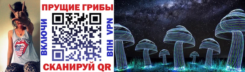 Галлюциногенные грибы GOLDEN TEACHER KRAKEN tor Пучеж